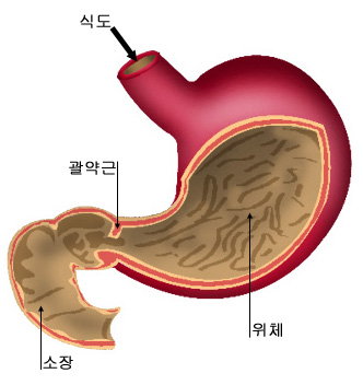 의약품 이미지